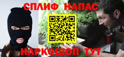 сатива Будённовск
