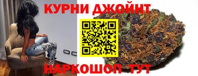 сатива Будённовск