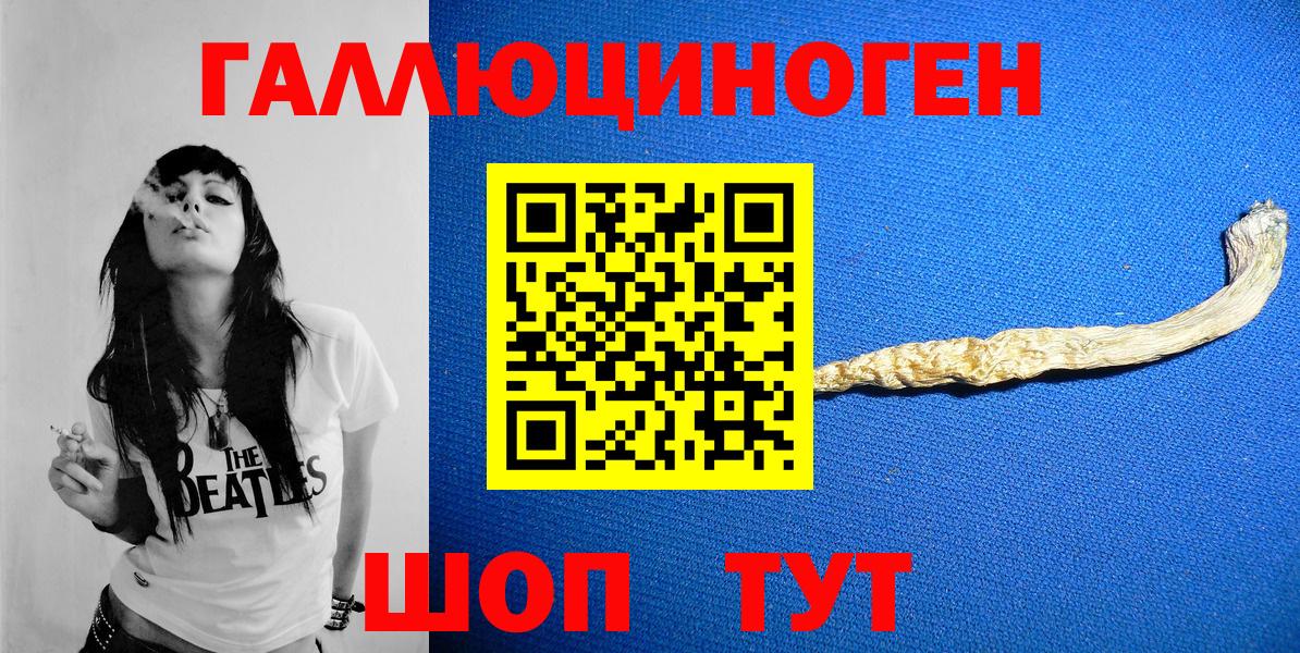 наркота  Галлюциногенные грибы Psilocybine cubensis  Вход с VPN  Стрежевой 